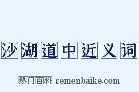 沙湖道中近义词是什么意思的图片